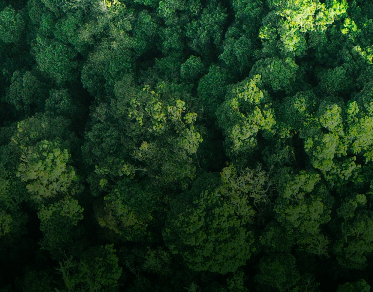 fenntarthatosag-product-hero