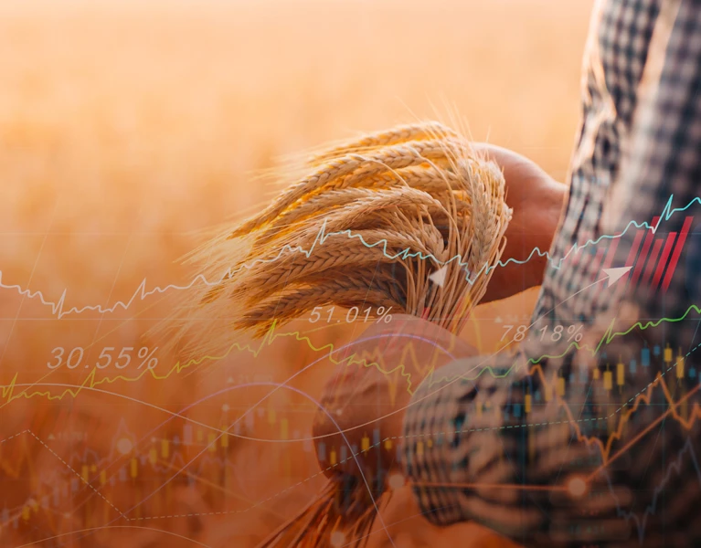 arupiaci-alapok-funds-hero